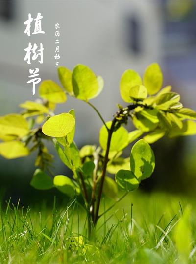共筑綠色園區(qū)，我們在行動！ 公司植樹節(jié)活動